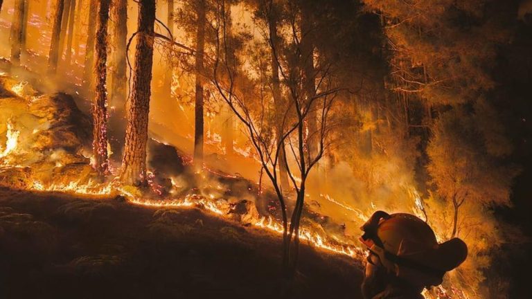 CONSUMUR exige medidas urgentes y estructurales frente a los incendios forestales más allá de promesas políticas